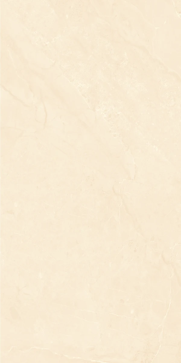face 6